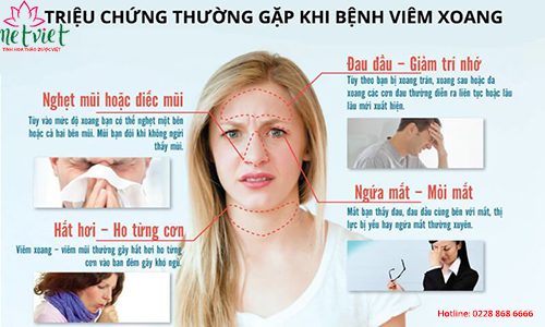 LIỆU TÔI CÓ BỊ VIÊM XOANG?